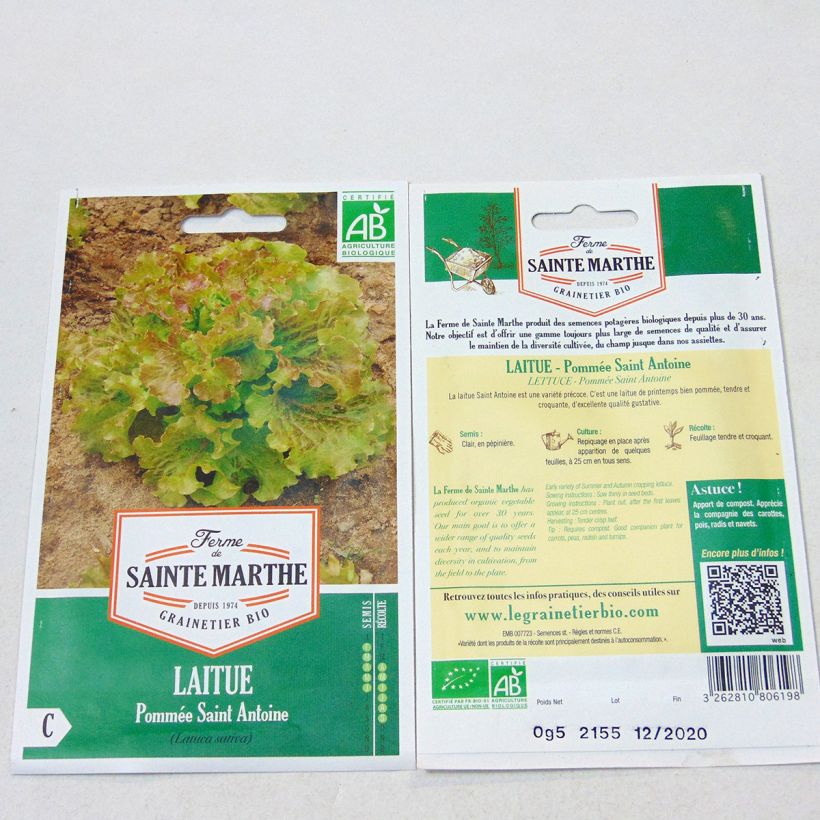 Ejemplo de ejemplar de Lechuga Saint Antoine Bio - Ferme de Sainte Marthe saco de 500 semillas tal y como se entrega