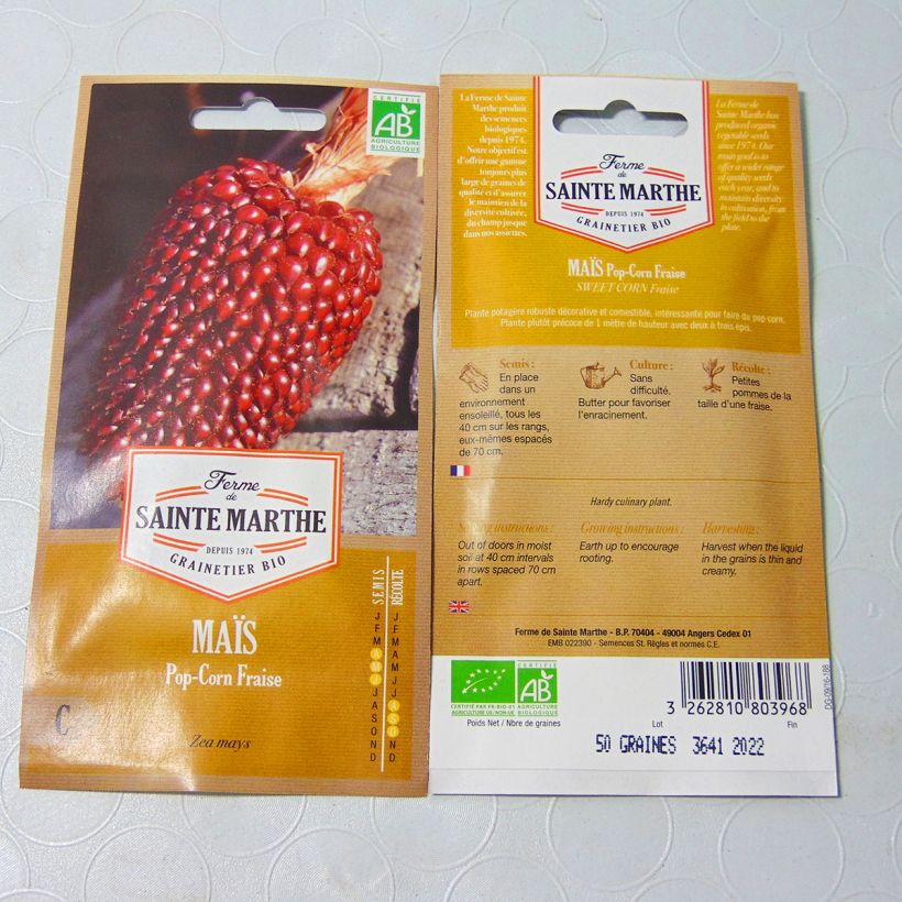 Ejemplo de ejemplar de Maíz dulce Fraise Pop Corn saco de 15 semillas (4g) tal y como se entrega