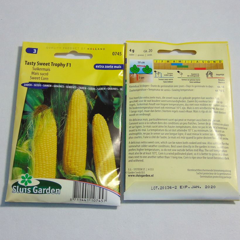 Ejemplo de ejemplar de Maíz dulce Tasty sweet Trophy F1 saco de 20 semillas (4g) tal y como se entrega
