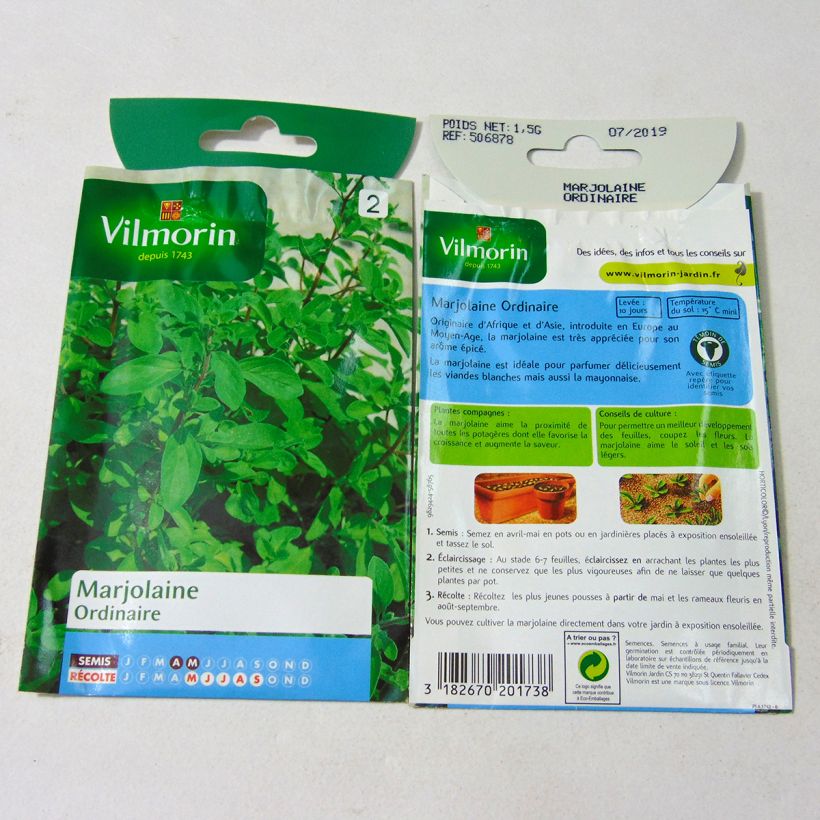 Ejemplo de ejemplar de Mejorana - Vilmorin - Origanum majorana saco de 12000 semillas (1g) tal y como se entrega