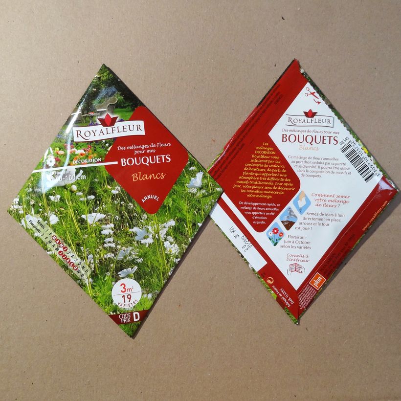 Ejemplo de ejemplar de Mélange de fleurs pour bouquets blancs à semer - Sachet 3 m2 Graines tal y como se entrega