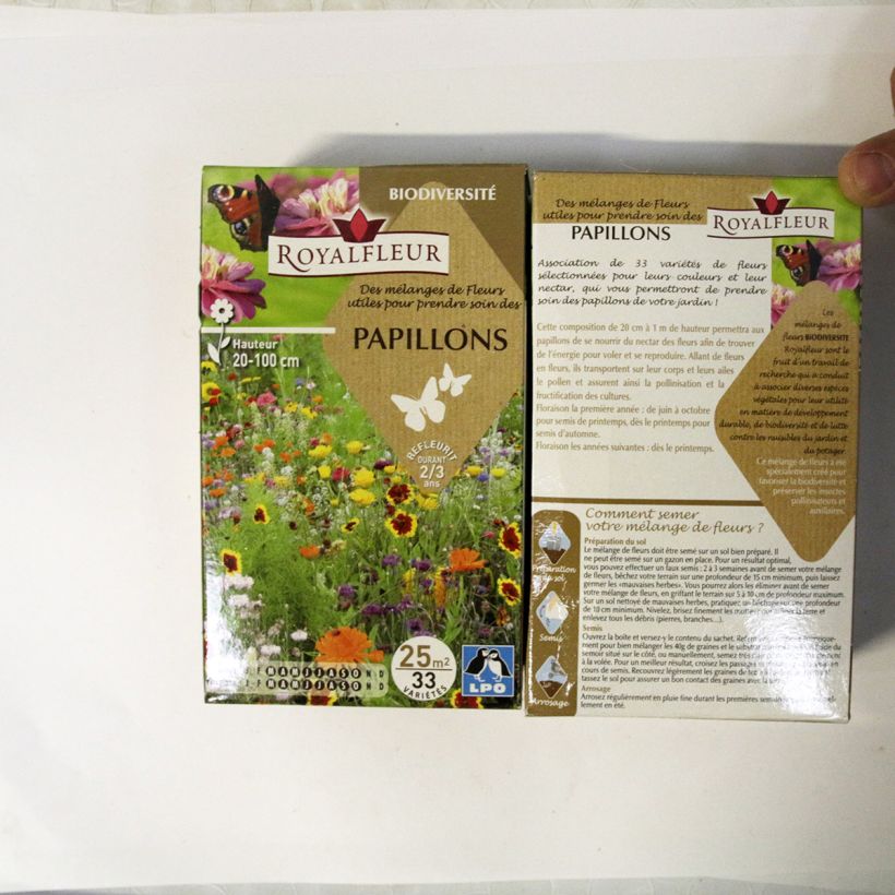 Ejemplo de ejemplar de Mezcla para atraer mariposas - Caja 25 m² saco de 40 gramos de semillas tal y como se entrega