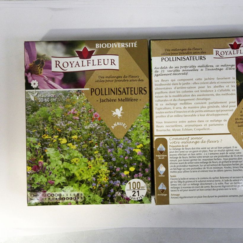 Ejemplo de ejemplar de Mélange pour attirer les pollinisateurs - Boite 100 m2 saco de 100 semillas tal y como se entrega