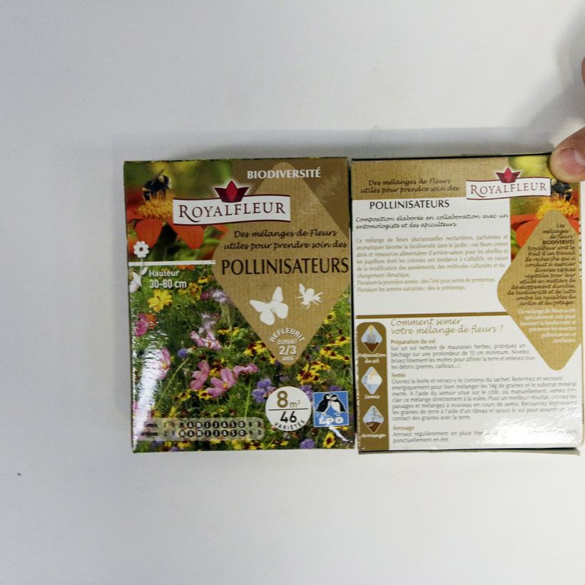 Ejemplo de ejemplar de Mélange pour attirer les pollinisateurs - Boite 8 m2 Graines tal y como se entrega