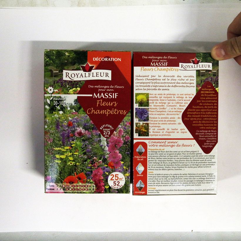 Ejemplo de ejemplar de Mélange pour massif Fleurs Champêtres - Boite 25 m2 saco de 40 gramos de semillas tal y como se entrega