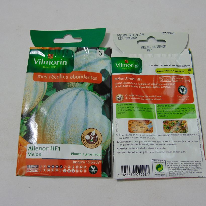 Ejemplo de ejemplar de Melón Alienor saco de 21 semillas (0.7g) tal y como se entrega