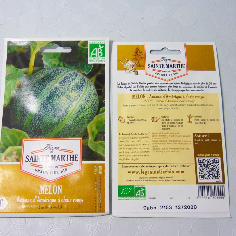 Ejemplo de ejemplar de Melón Ananas d'Amérique saco de 15 semillas tal y como se entrega