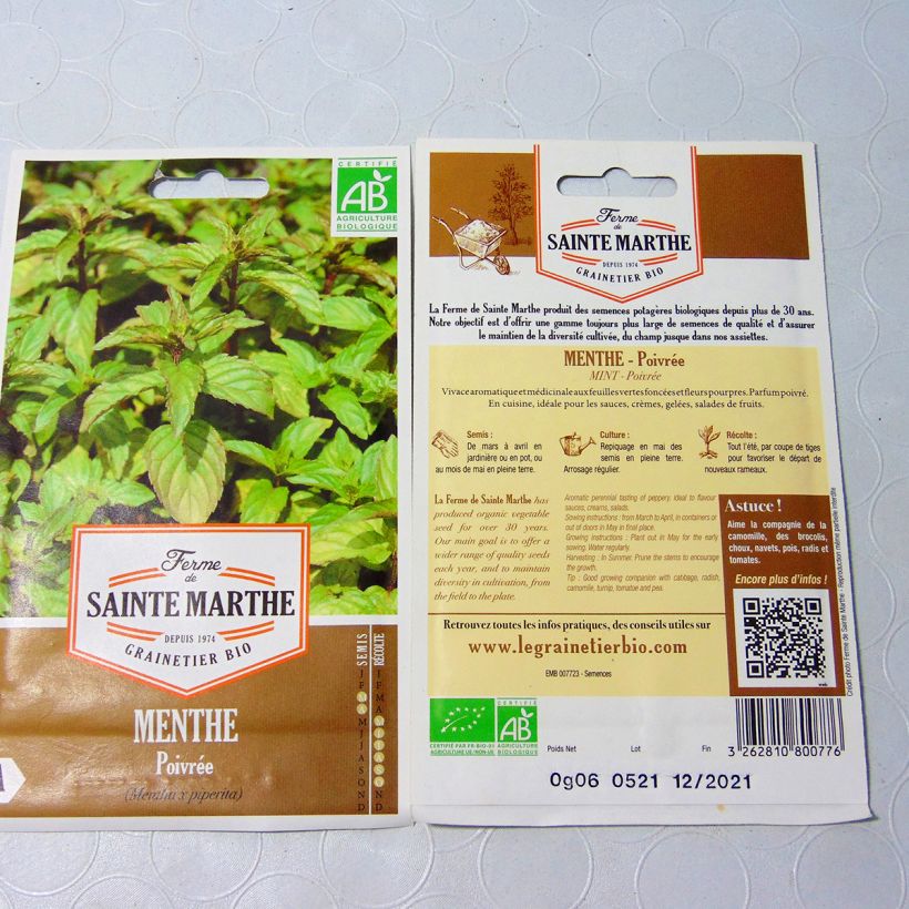 Ejemplo de ejemplar de Menta Bio - Ferme de Sainte Marthe saco de 1500 semillas (0,1g) tal y como se entrega