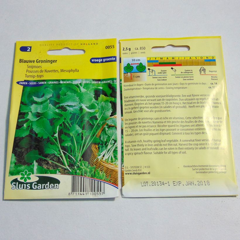 Ejemplo de ejemplar de Nabo Blauwe Groninger saco de 850 semillas (2g) tal y como se entrega