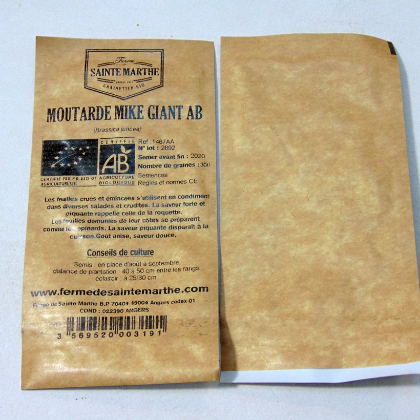 Ejemplo de ejemplar de Mostaza india Mike Giant saco de 300 semillas tal y como se entrega