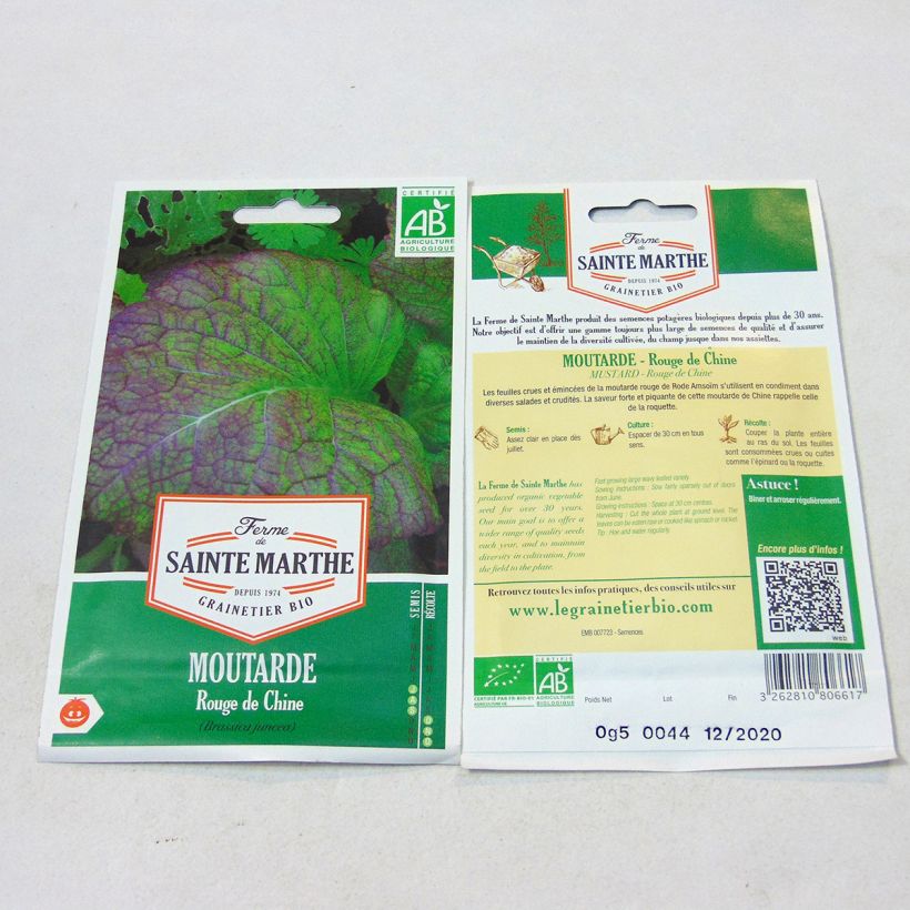 Ejemplo de ejemplar de Mostaza india - Brassica juncea saco de 250 semillas (0.5g) tal y como se entrega