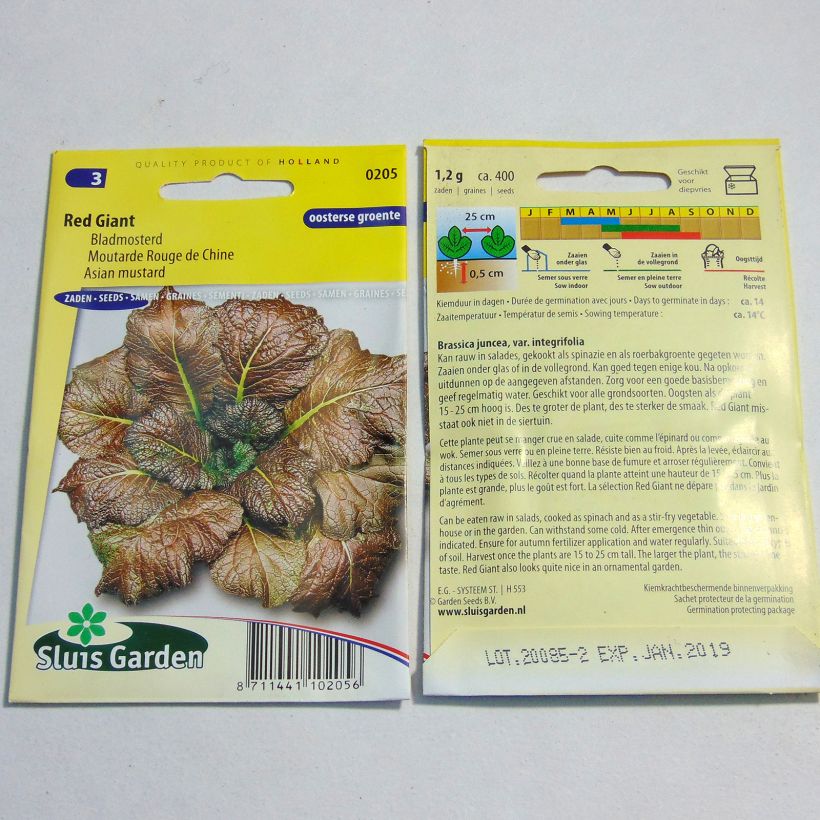 Ejemplo de ejemplar de Mostaza india Red Giant saco de 800 semillas (2g) tal y como se entrega