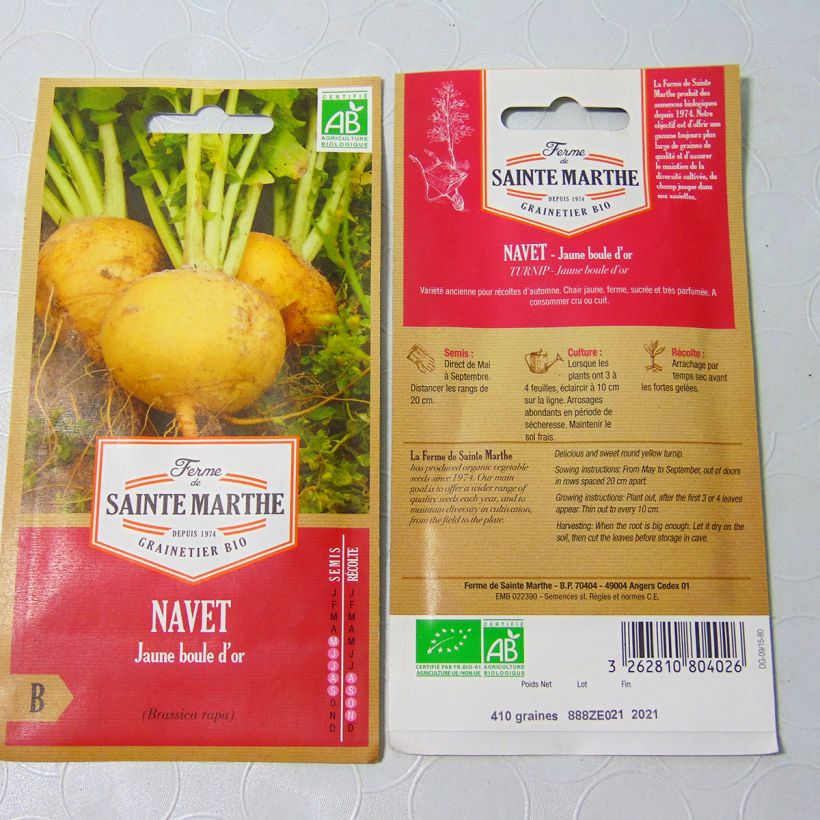 Ejemplo de ejemplar de Nabo Boule d'Or Bio - Ferme de Sainte Marthe saco de 250 semillas tal y como se entrega