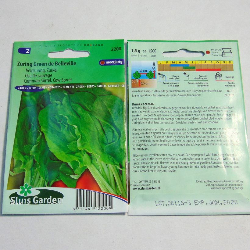 Ejemplo de ejemplar de Acedera común (semillas) - Rumex acetosa saco de 1500 semillas (1g) tal y como se entrega
