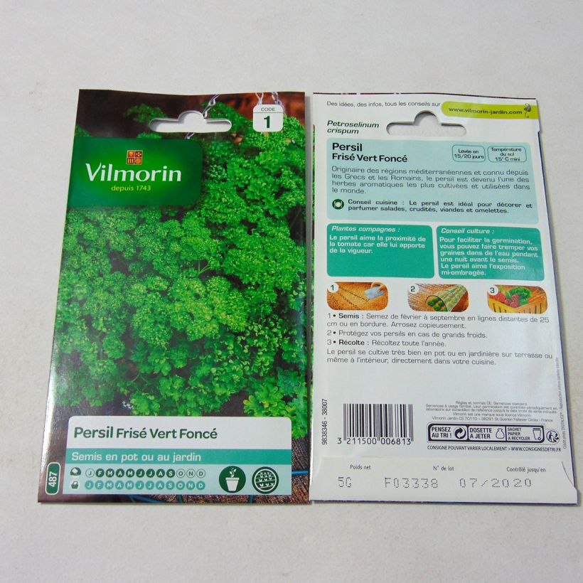 Ejemplo de ejemplar de Perejil Vert Foncé - Vilmorin saco de 3000 semillas (5g) tal y como se entrega