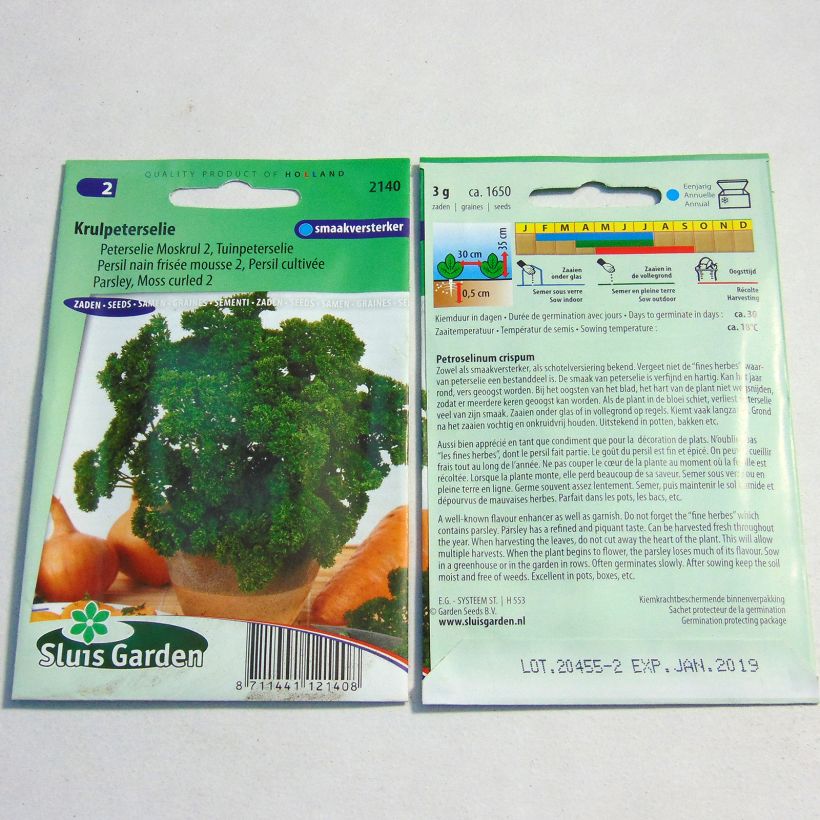 Ejemplo de ejemplar de Perejil Mousse 2 saco de 1650 semillas (3g) tal y como se entrega