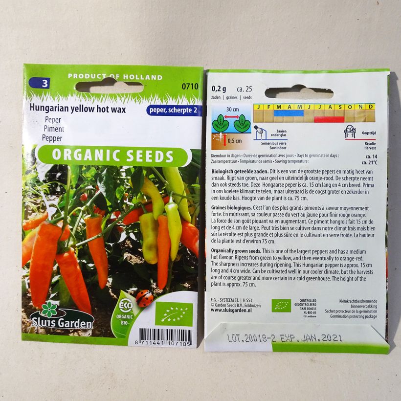 Ejemplo de ejemplar de Pimienta Hungarian Yellow Wax Hot Bio saco de 25 semillas (0.2g) tal y como se entrega