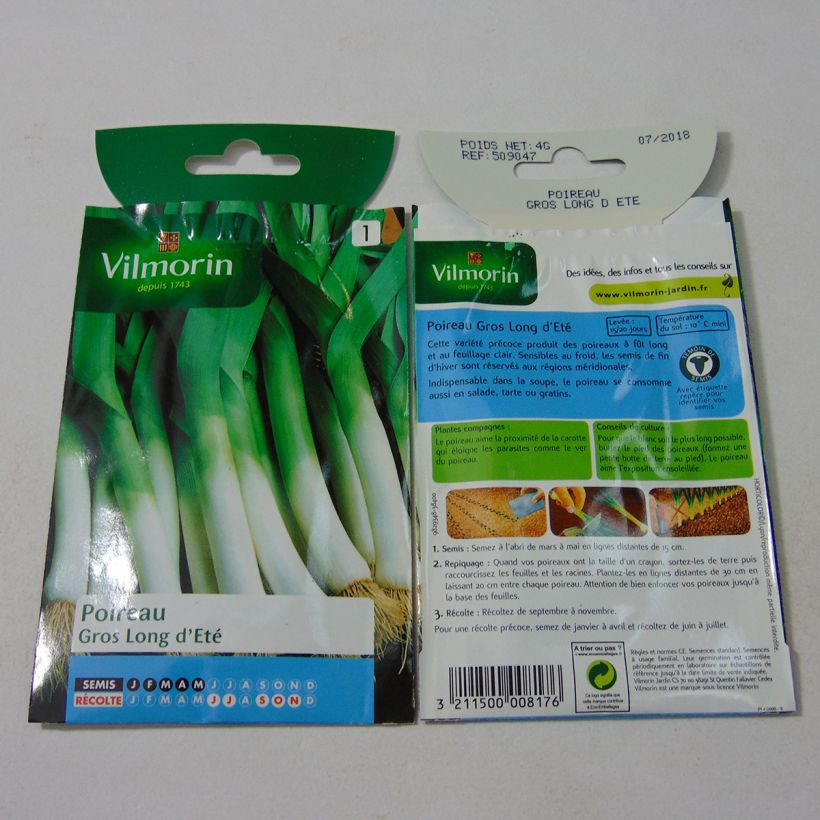 Ejemplo de ejemplar de Puerro Gros long d'été 2 saco de 1000 semillas (4g) tal y como se entrega