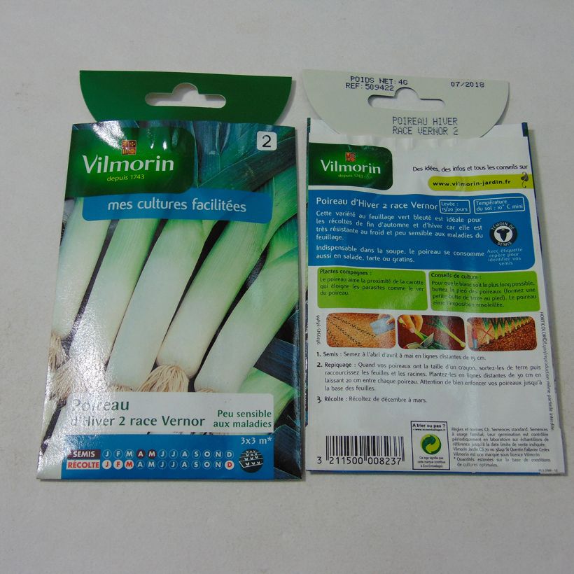 Ejemplo de ejemplar de Puerro d'hiver 2 race Vernor saco de 1000 semillas (4g) tal y como se entrega