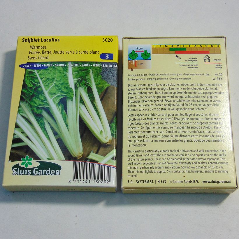 Ejemplo de ejemplar de Acelga verte à carde blanc Lucullus saco de 1000 semillas (25g) tal y como se entrega