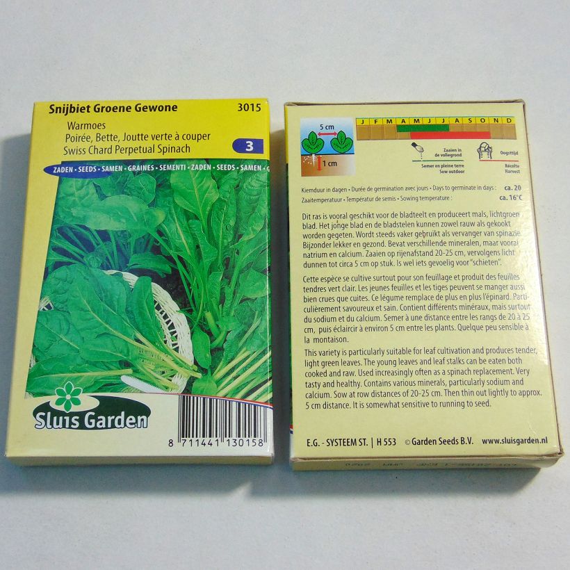 Ejemplo de ejemplar de Acelga Groene Gewone 2 saco de 1000 semillas (25g) tal y como se entrega