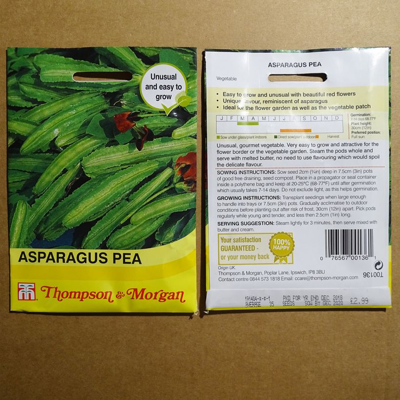 Ejemplo de ejemplar de Loto cultivado purpureus - Lotus tetragonolobus saco de 35 semillas tal y como se entrega