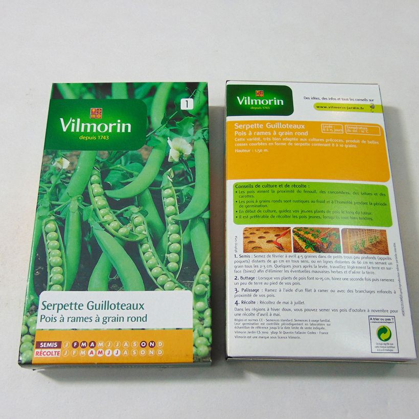 Ejemplo de ejemplar de Guisantes verdes Serpette Guilloteaux - Vilmorin saco de 600 semillas (200g) tal y como se entrega