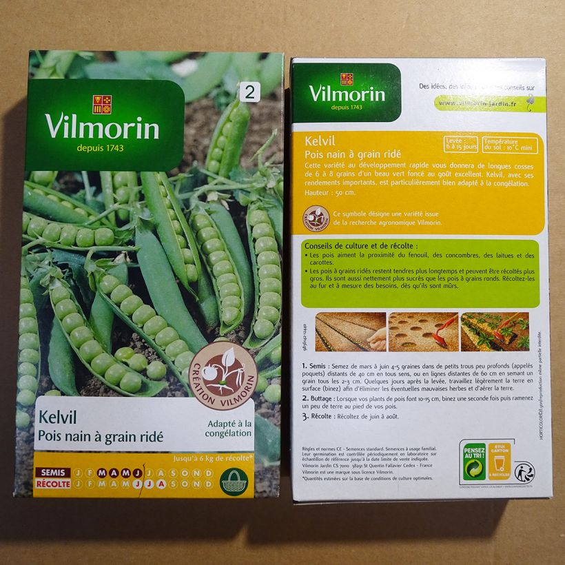 Ejemplo de ejemplar de Guisantes verdes Kelvil saco de 750 semillas tal y como se entrega
