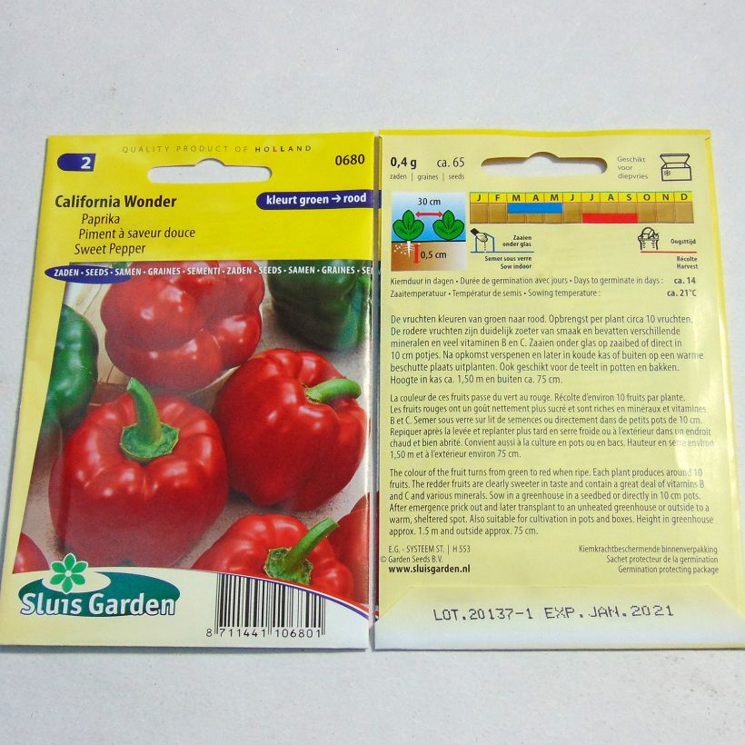 Ejemplo de ejemplar de Pimiento California Wonder saco de 60 semillas (0,5g) tal y como se entrega