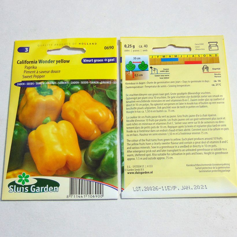 Ejemplo de ejemplar de Pimiento Golden Calwonder saco de 40 semillas tal y como se entrega