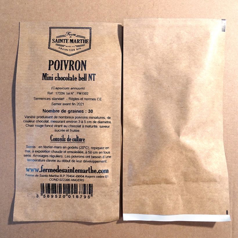 Ejemplo de ejemplar de Pimiento Mini Chocolate Bell saco de 30 semillas (Sachet de 30 grammesg) tal y como se entrega