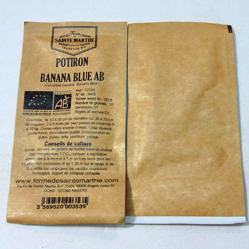 Ejemplo de ejemplar de Calabaza Banana Blue saco de 20 semillas (5g) tal y como se entrega