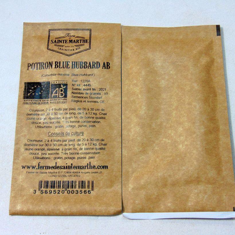 Ejemplo de ejemplar de Calabaza Blue Hubbard saco de 10 semillas (3g) tal y como se entrega