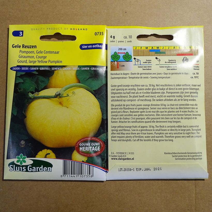 Ejemplo de ejemplar de Calabaza Gele Reuzen saco de 10 semillas (4g) tal y como se entrega