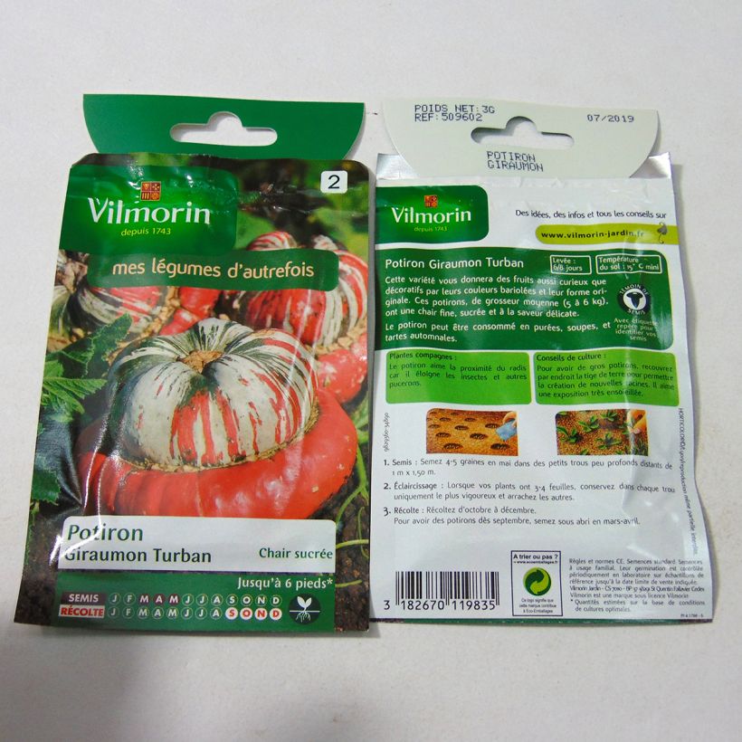 Ejemplo de ejemplar de Calabaza Giraumon Turban - Vilmorin saco de 18 semillas (3g) tal y como se entrega