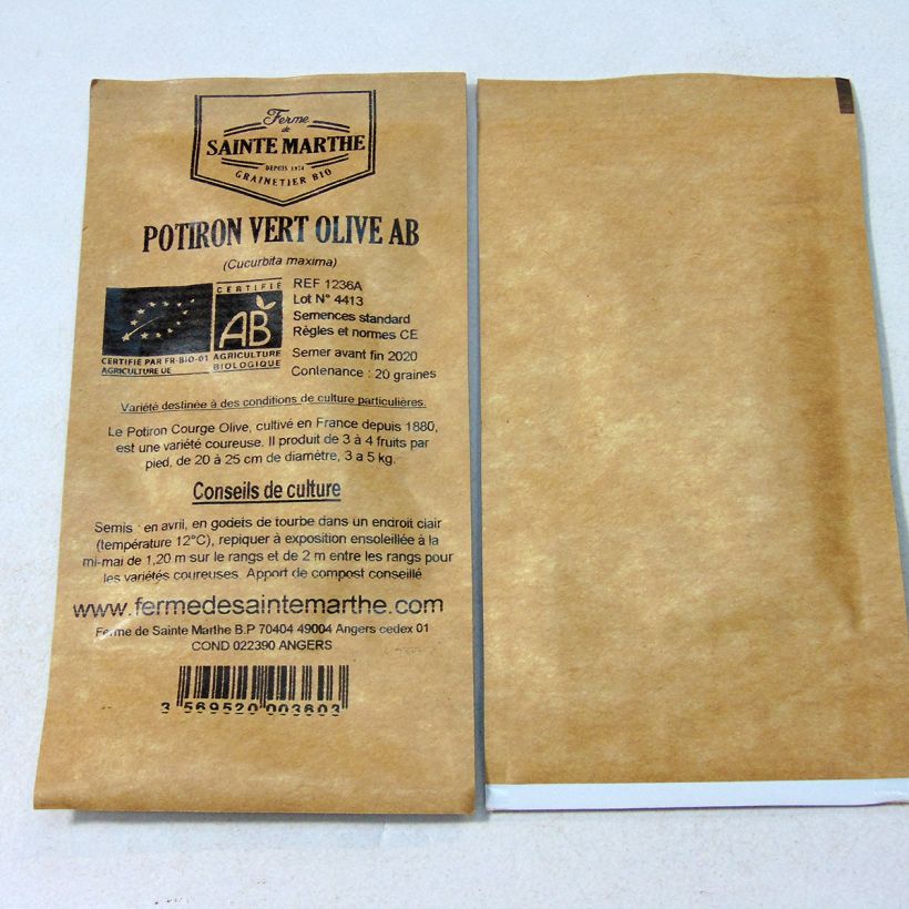 Ejemplo de ejemplar de Calabaza Vert Olive saco de 20 semillas (4g) tal y como se entrega