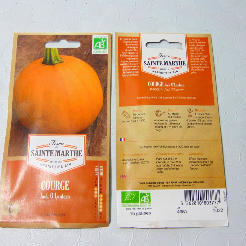 Ejemplo de ejemplar de Calabacín Jack O'Lantern Bio - Ferme de Sainte Marthe saco de 8 semillas (1g) tal y como se entrega