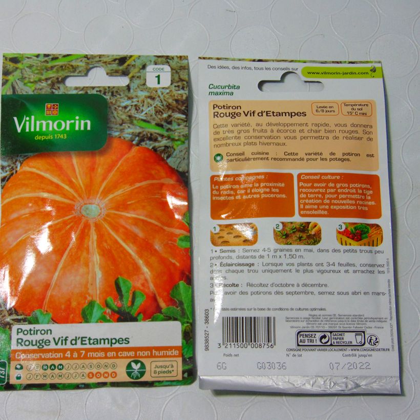 Ejemplo de ejemplar de Calabaza Roja d'Etampes - Vilmorin saco de 36 semillas (6g) tal y como se entrega