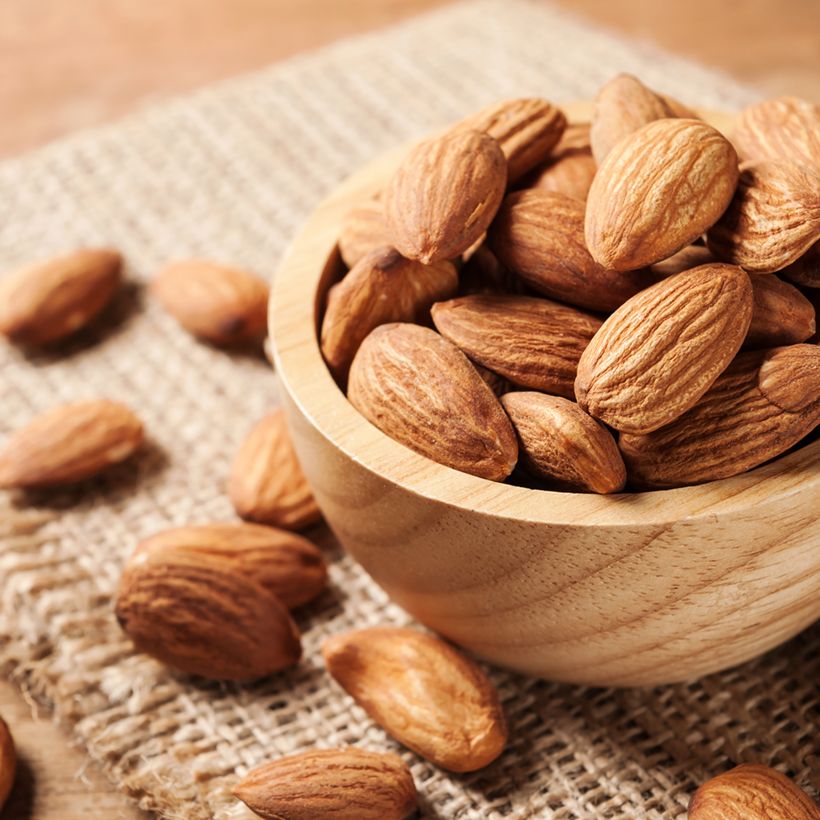 Almendro Desmayo Largueta (Cosecha)
