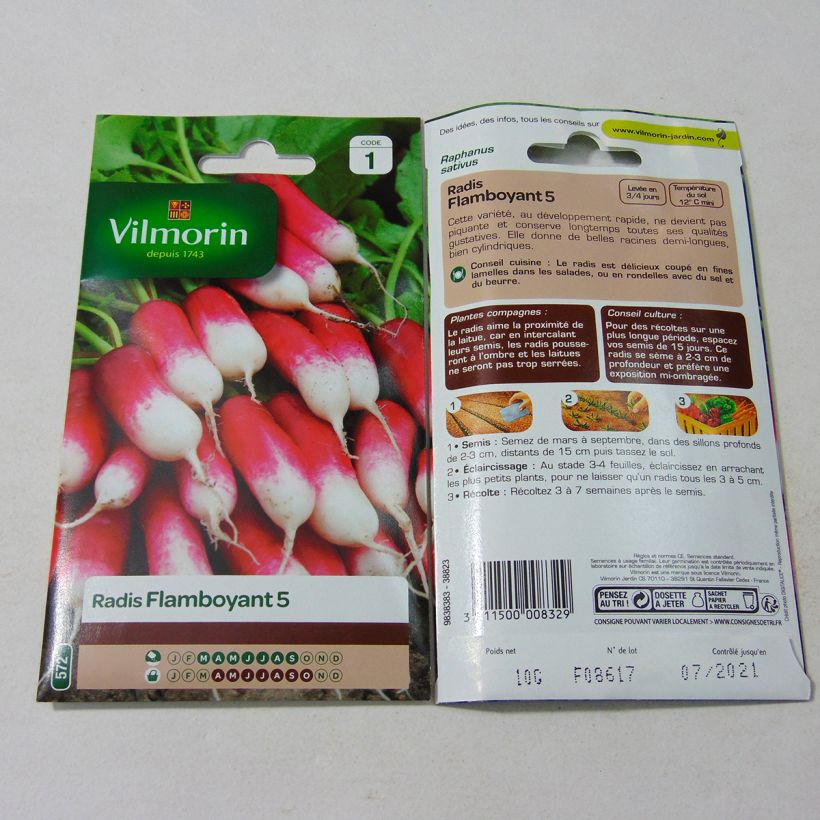 Ejemplo de ejemplar de Rábano Flamboyant 5 saco de 800 semillas (10g) tal y como se entrega