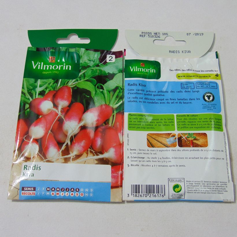 Ejemplo de ejemplar de Rábano Kiva saco de 800 semillas (10g) tal y como se entrega