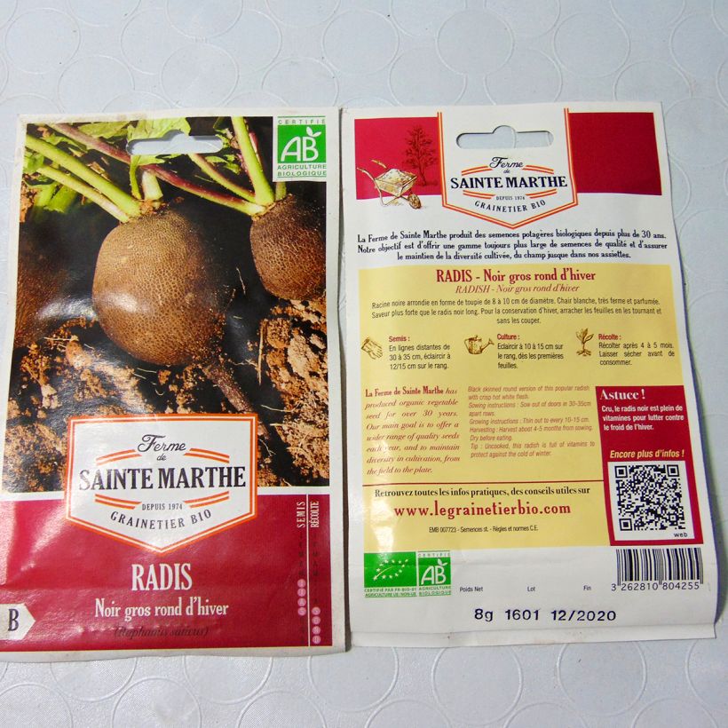 Ejemplo de ejemplar de Rábano negro Noir Gros Long d'Hiver saco de 1000 semillas (8g) tal y como se entrega