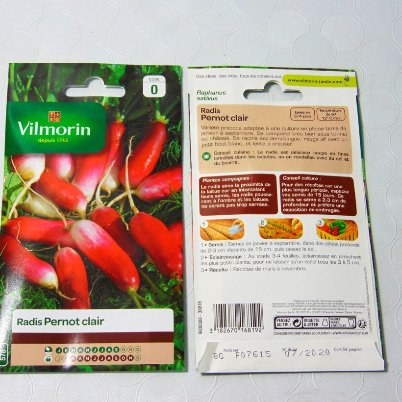 Ejemplo de ejemplar de Rábano Pernot clair - Vilmorin saco de 640 semillas (8g) tal y como se entrega