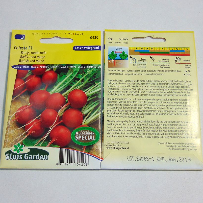 Ejemplo de ejemplar de Rábano Redondo rojo Celesta F1 saco de 475 semillas (4g) tal y como se entrega