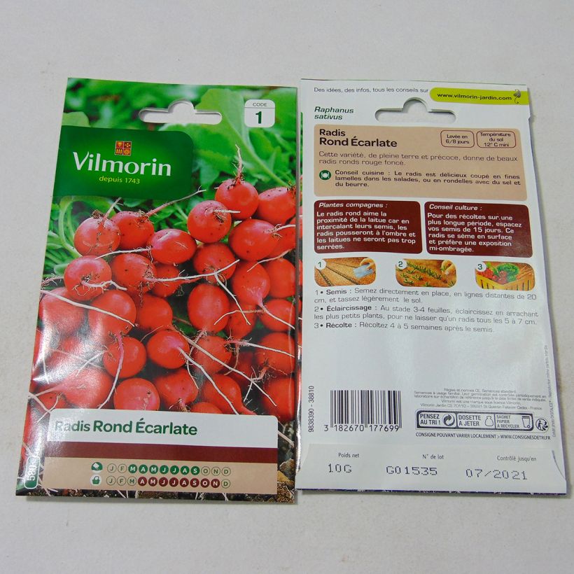 Ejemplo de ejemplar de Rábano Rond écarlate - Vilmorin saco de 800 semillas (10g) tal y como se entrega