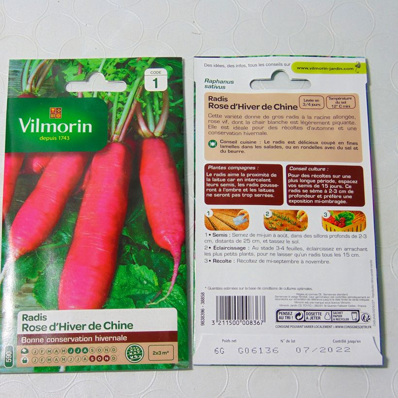 Ejemplo de ejemplar de Rábano Rose d'hiver de Chine - Vilmorin saco de 480 semillas (6g) tal y como se entrega