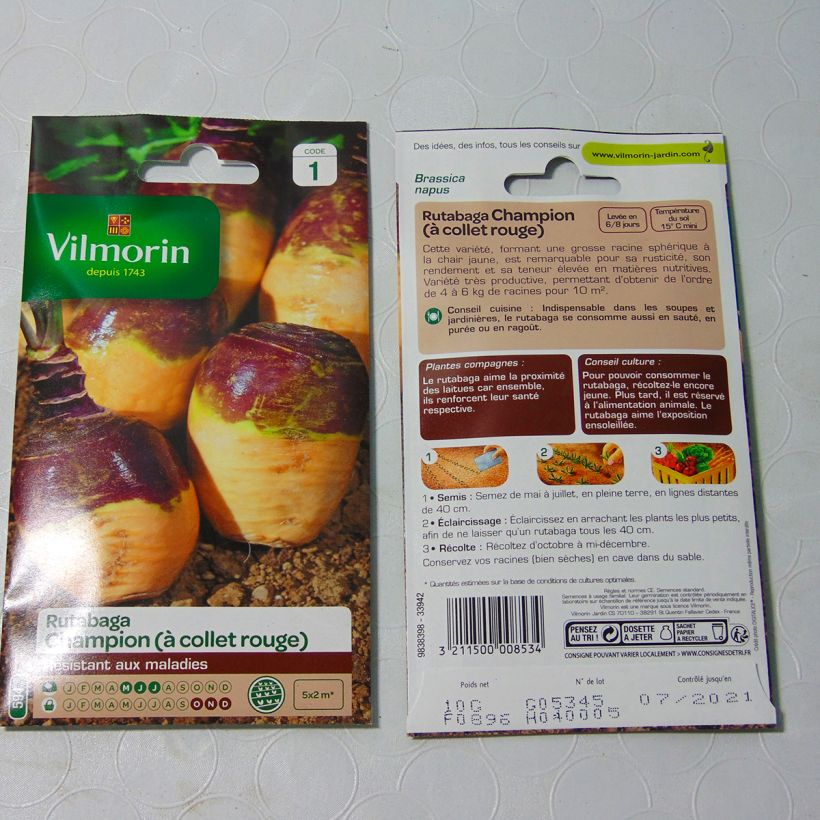 Ejemplo de ejemplar de Rutabaga Champion - Vilmorin saco de 3500 semillas (10g) tal y como se entrega