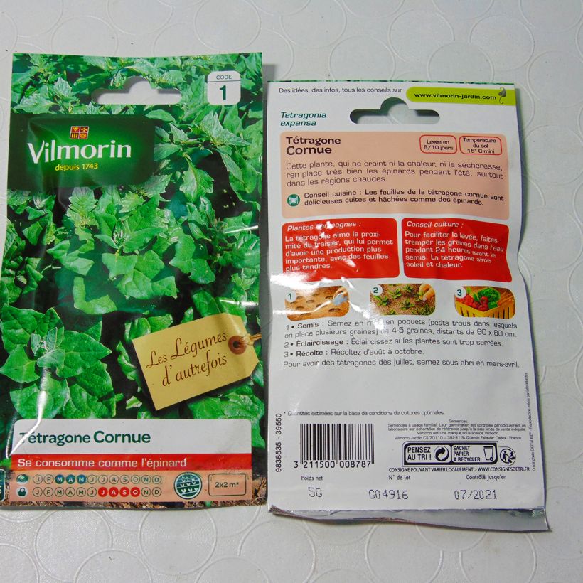 Ejemplo de ejemplar de Espinaca de Nueva Zelanda - Vilmorin saco de 75 semillas (5g) tal y como se entrega
