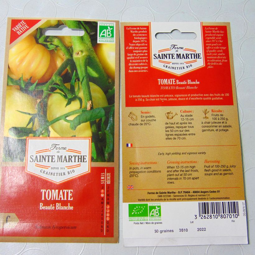 Ejemplo de ejemplar de Tomate Beauté Blanche Bio - Ferme de Sainte Marthe Graines tal y como se entrega