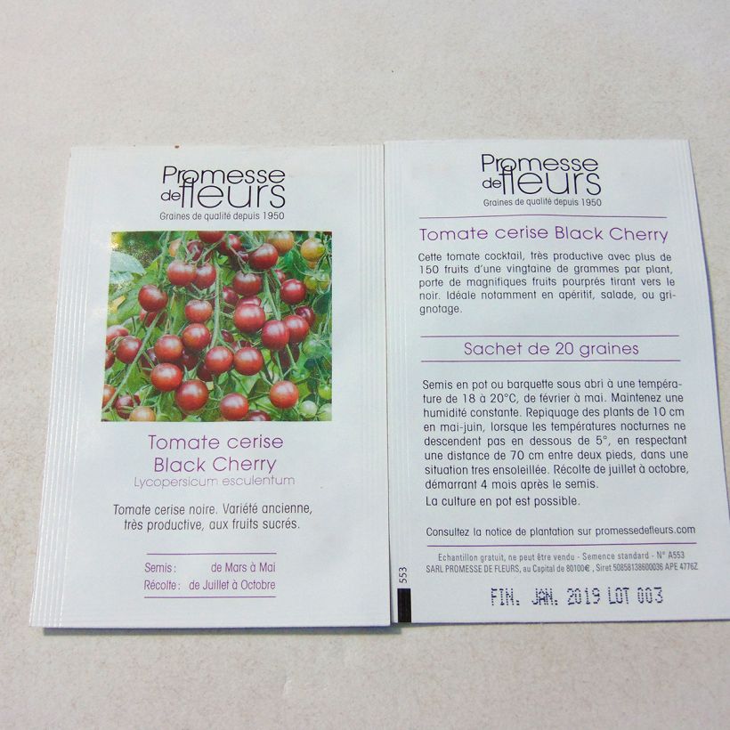Ejemplo de ejemplar de Tomate cherri Black Cherry saco de 50 semillas (0,1g) tal y como se entrega
